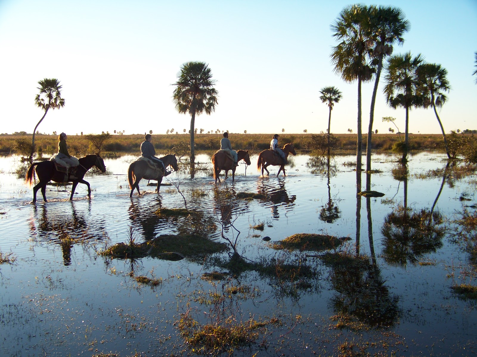 Cabalgata cruzando el bañado
