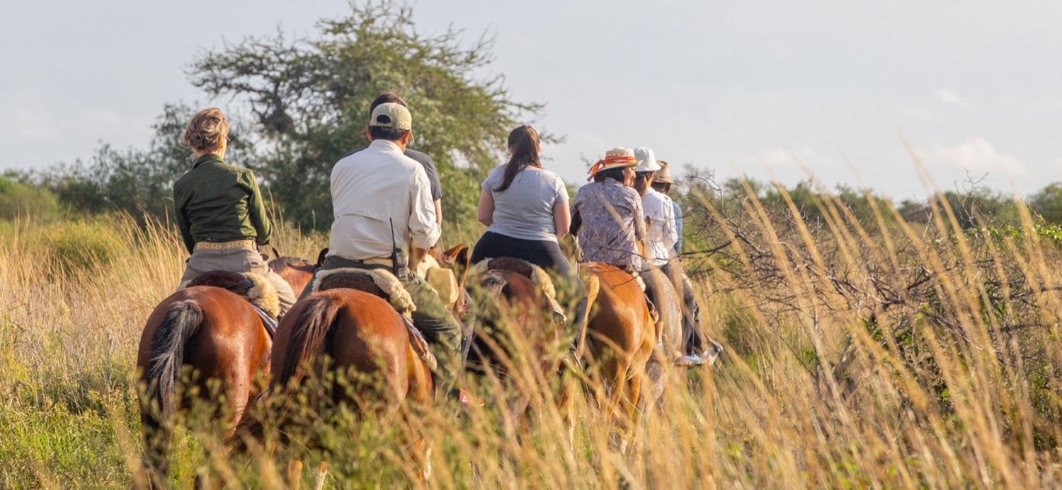 Excursión a caballo por los pastizales del Iberá