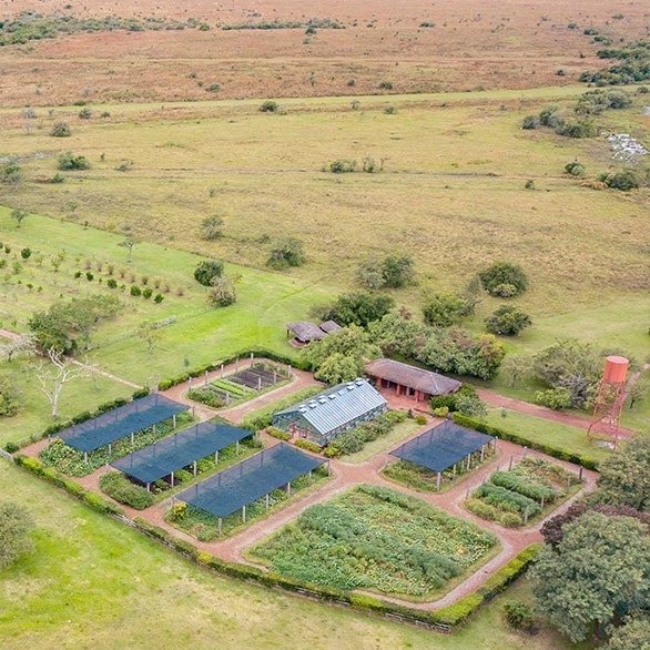 Vista aérea de la huerta orgánica de la estancia