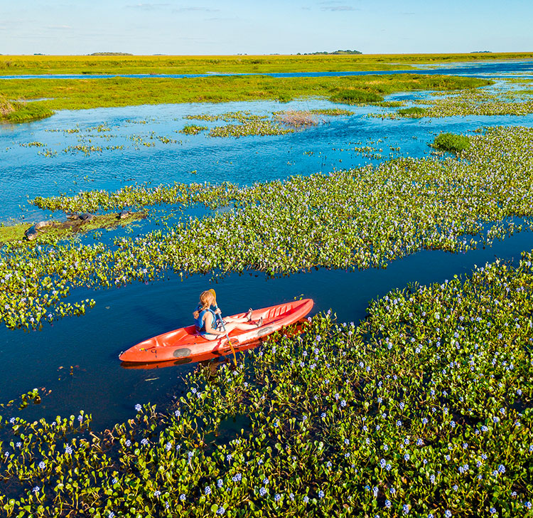 Rumbo Iberá  -  Kayak