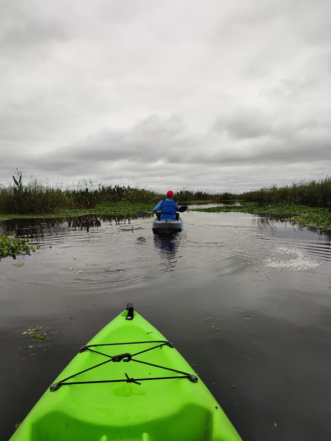 Vista en primera persona desde el kayak por canal angosto entre pajonales