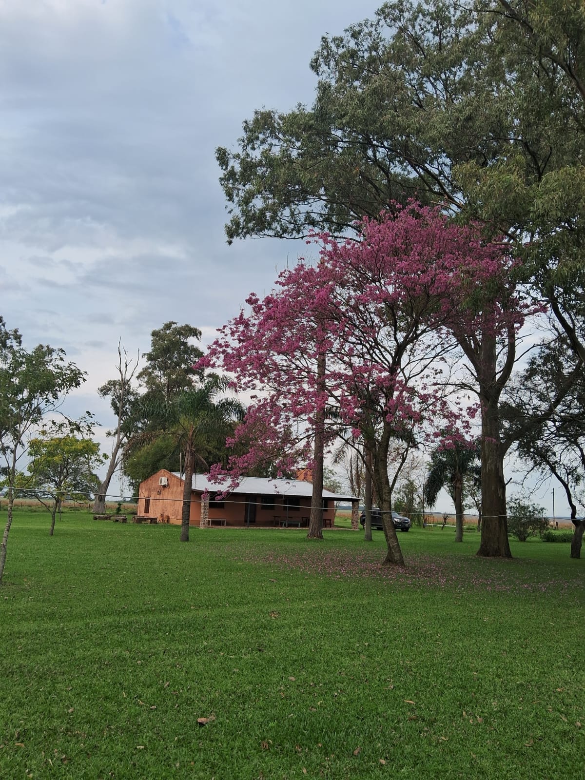 Una de las casas de campo, con galería para el mate y el atardecer