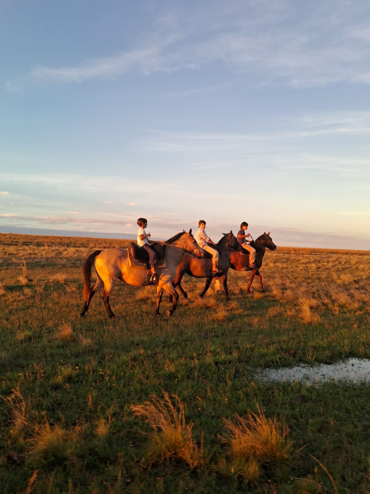 Cabalgata por el campo, una de las actividades de la estadía