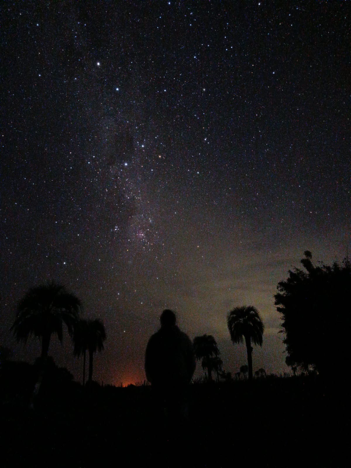 Starry night sky with palm trees and a person in silhouette