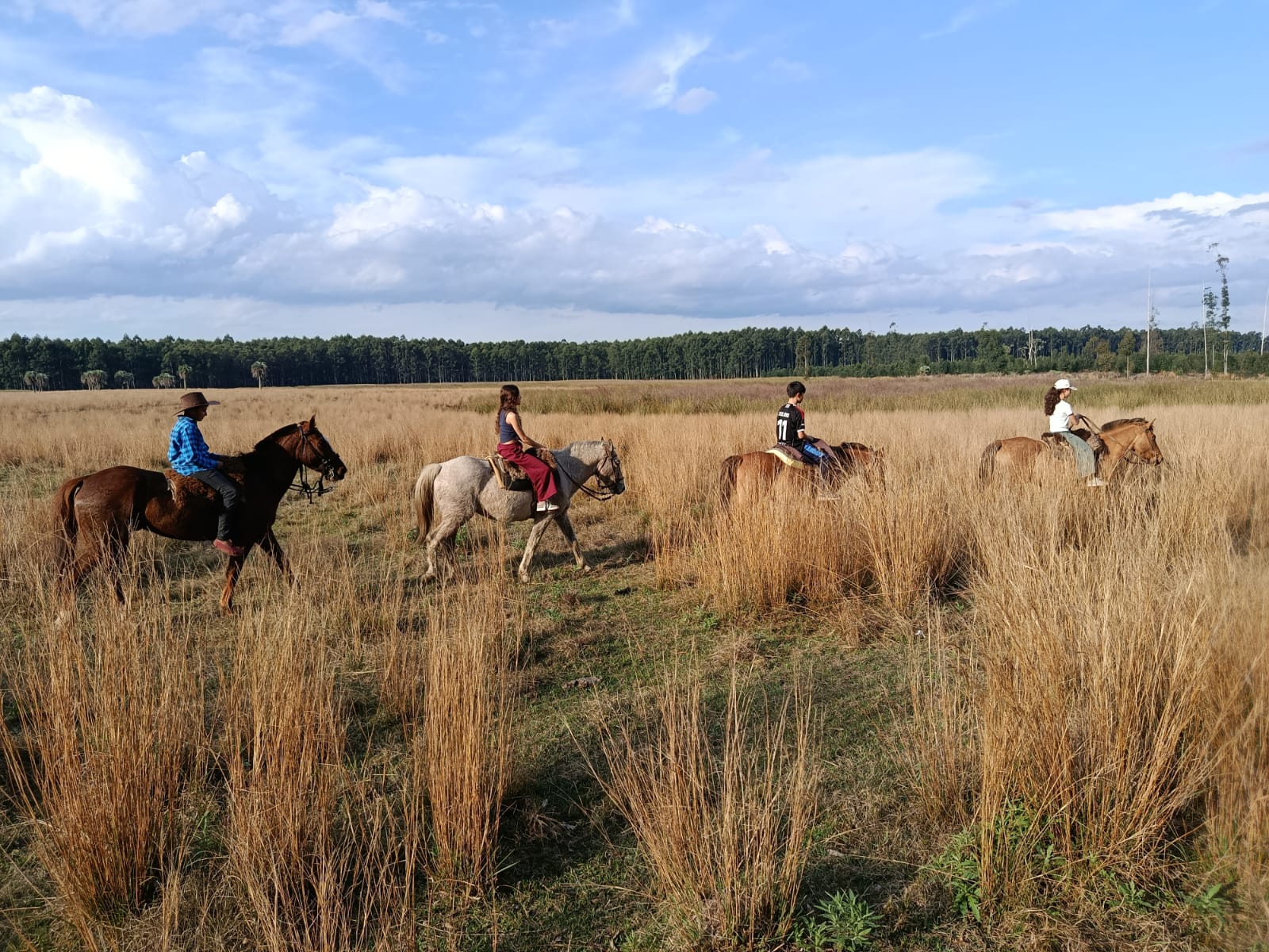 Riders in a line across the grassland, with a stand of trees in the background