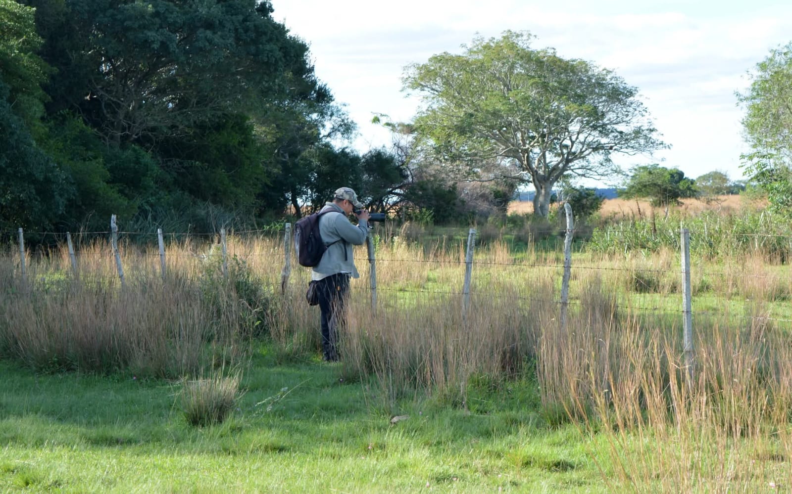 Birdwatching from the trail