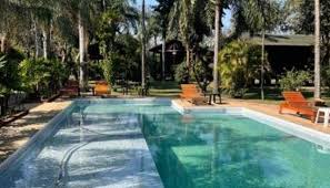 Piscina con palmeras y reposeras en las cabañas Simons