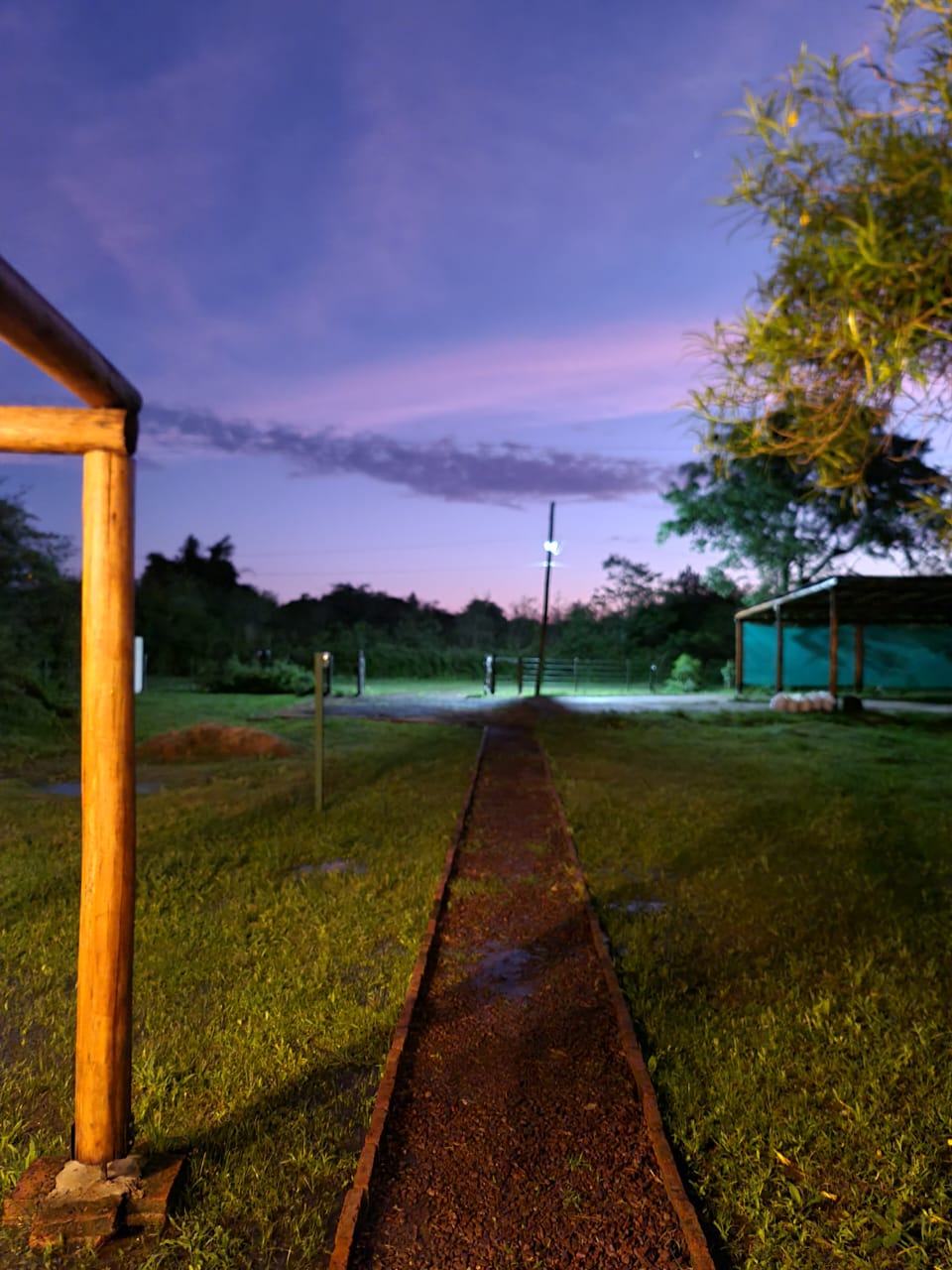 Sendero iluminado al atardecer