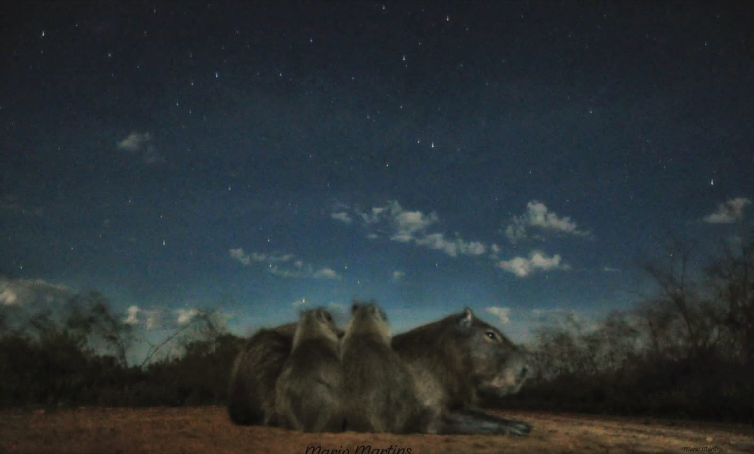 Todo Iberá  -  Astroturismo