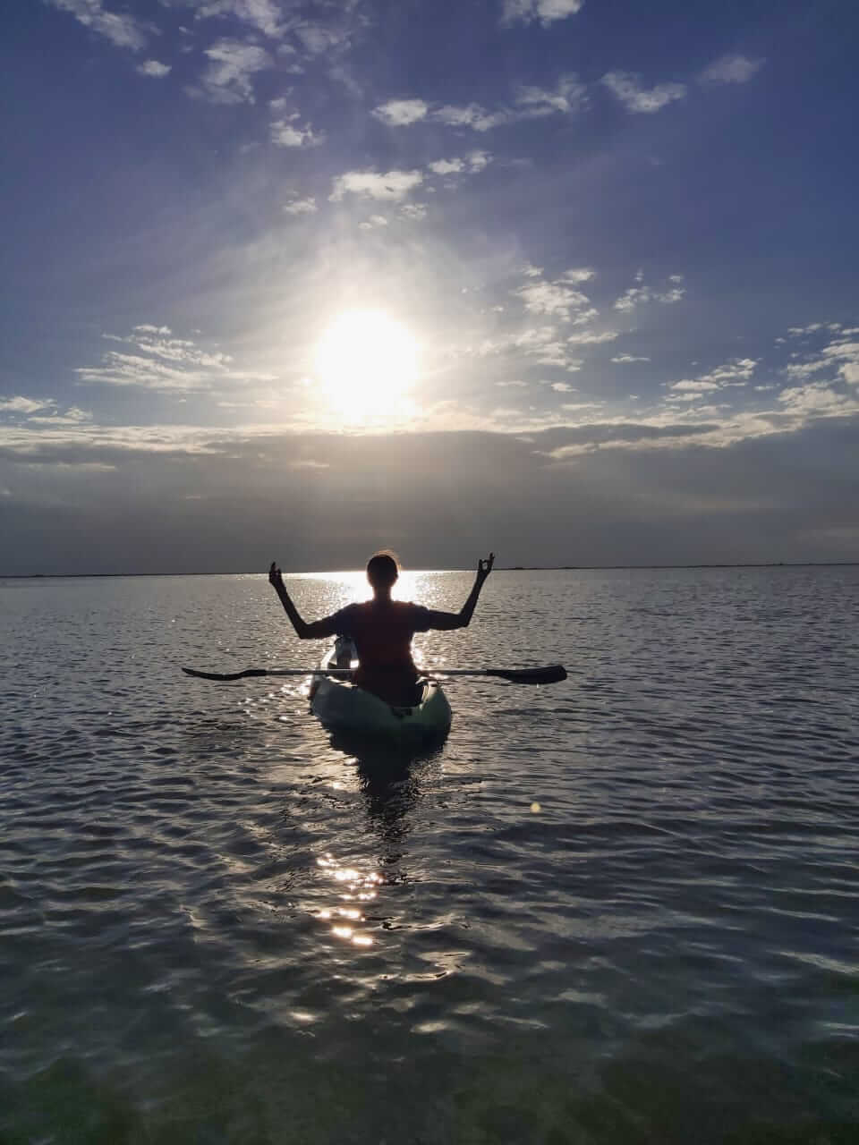 Laguna Iberá desde la embarcación