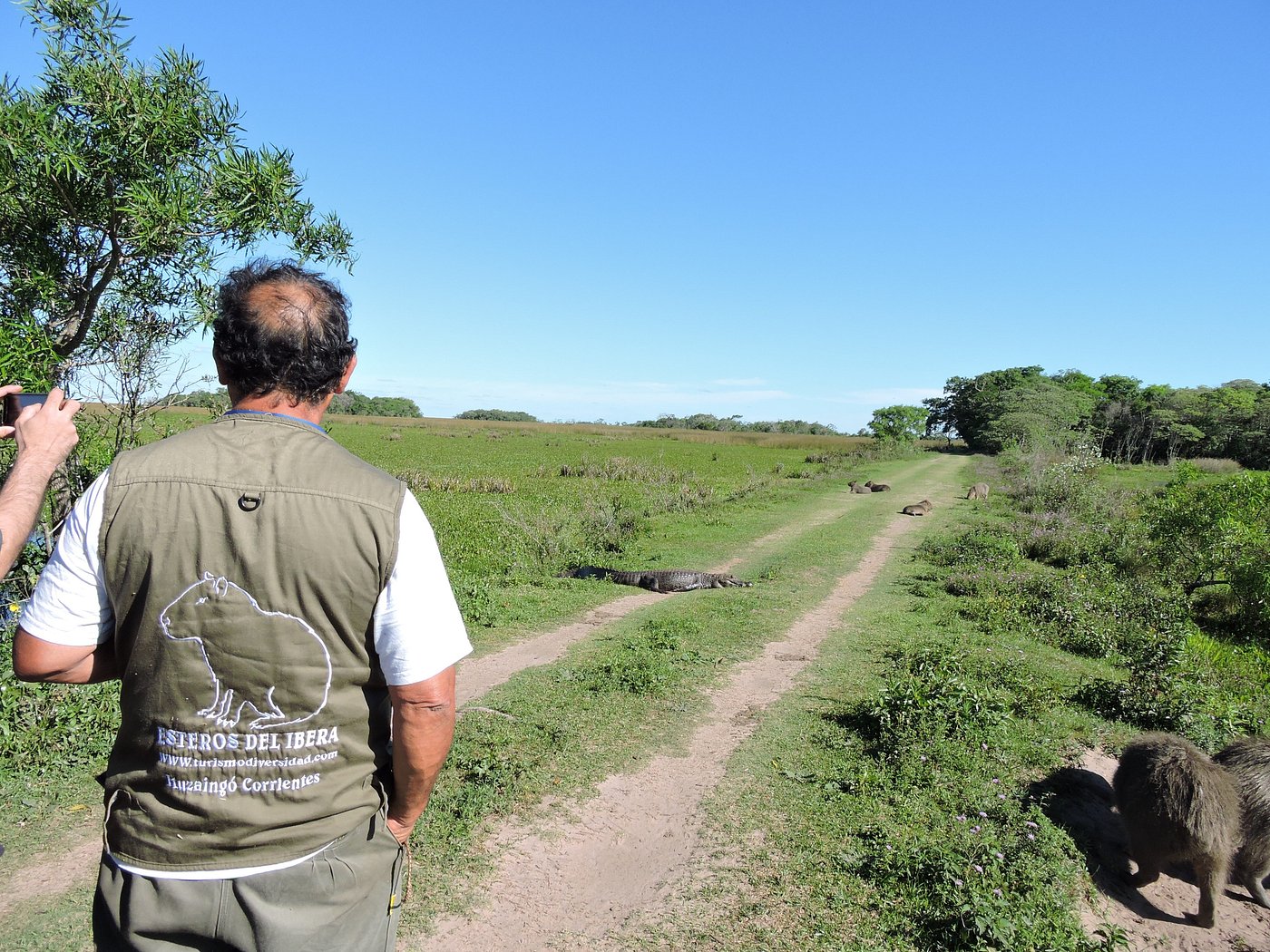 Avistaje de fauna silvestre en el Iberá  -  Turismo Diversidad Ituzaingó