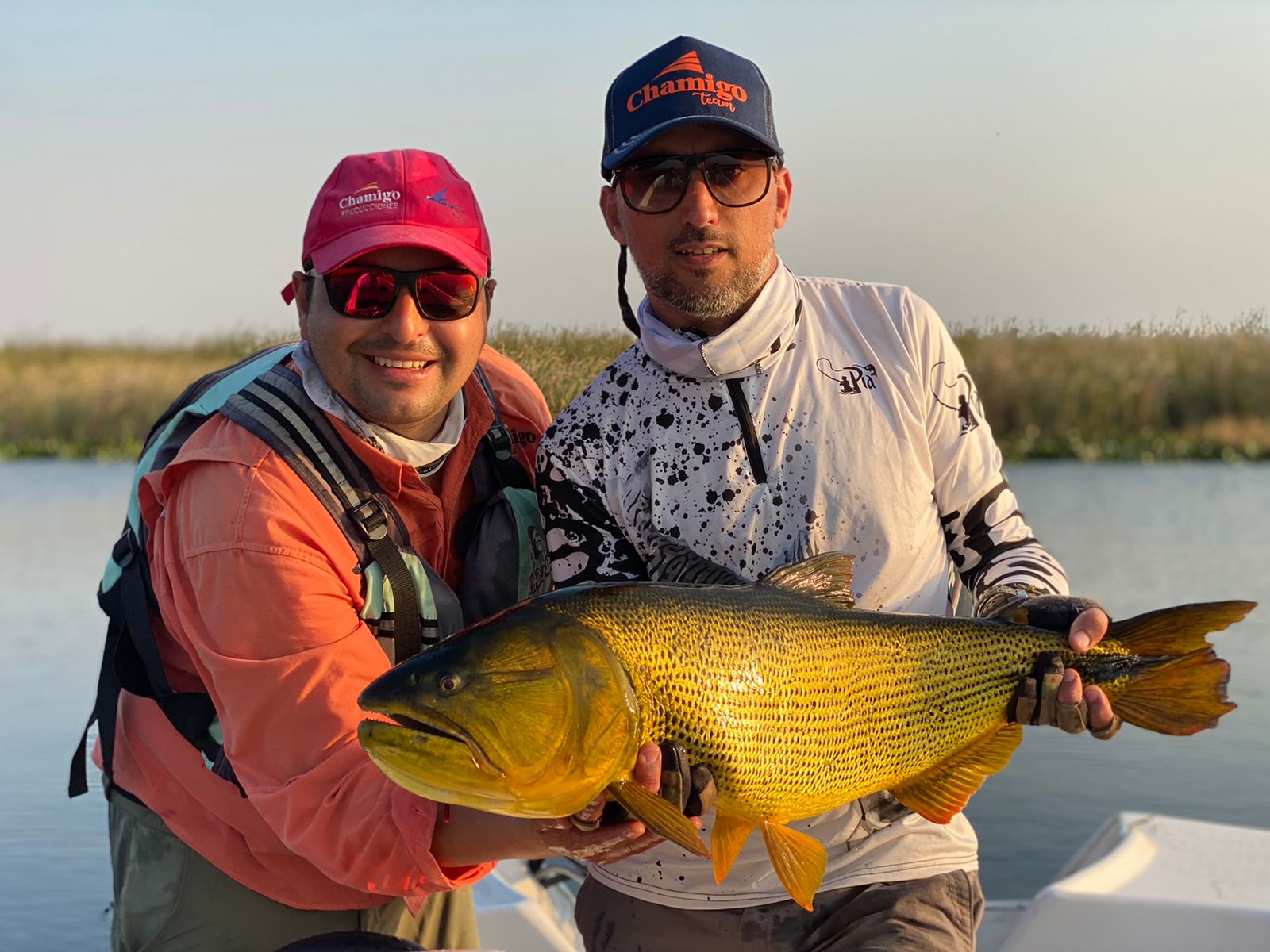 Pesca deportiva con devolución: dorado del Iberá