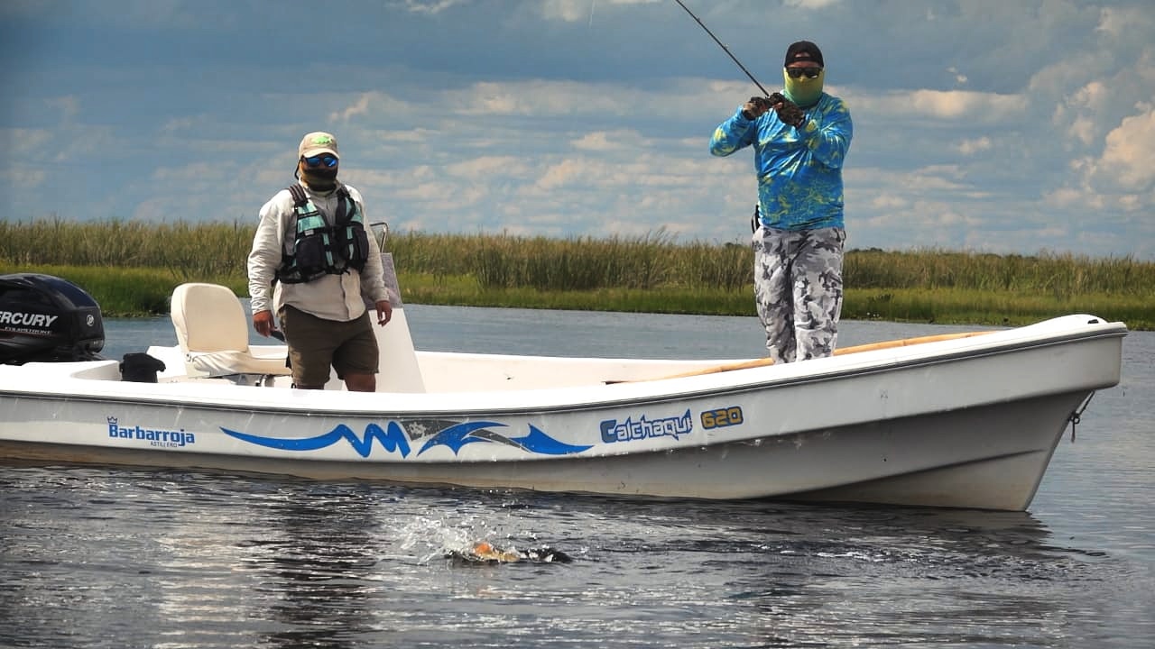 Pesca con mosca desde la lancha en los esteros
