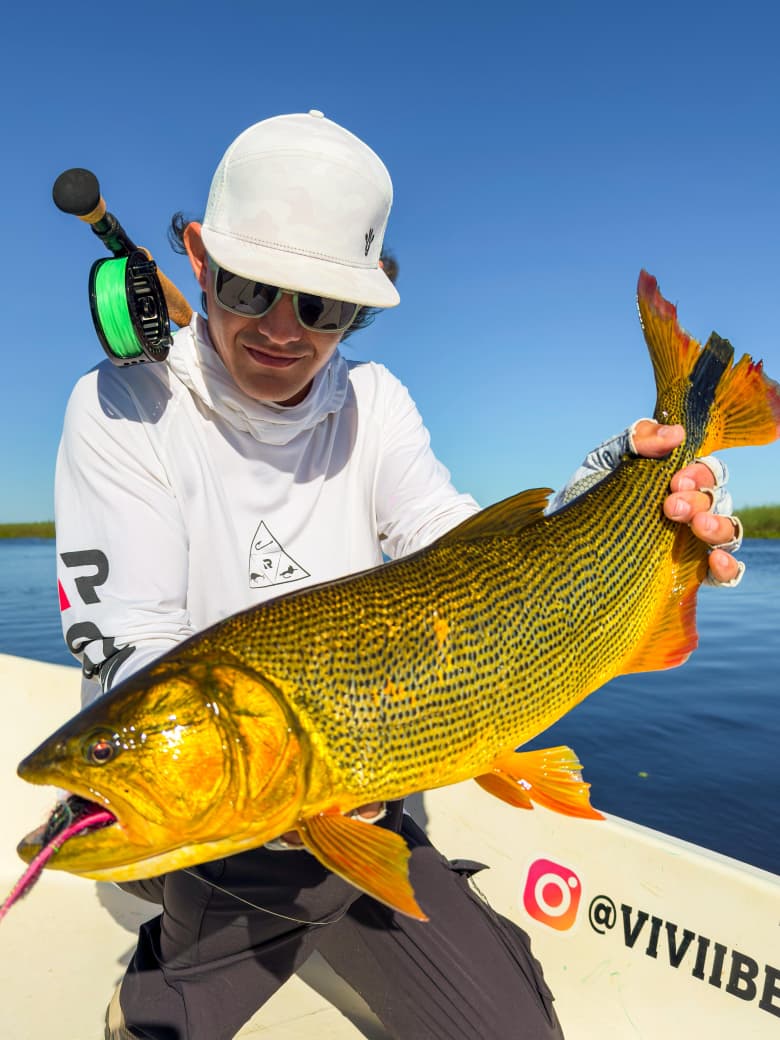 Un dorado de gran porte, el tigre del río
