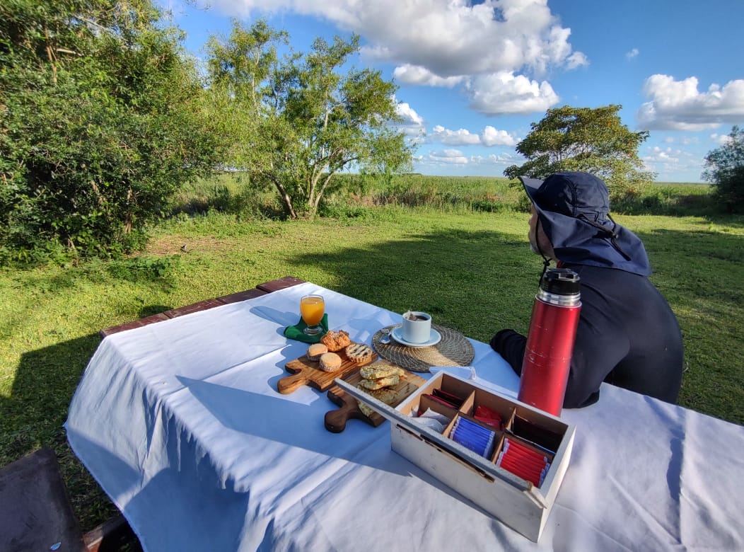 Merienda de campo en el pastizal después de la excursión