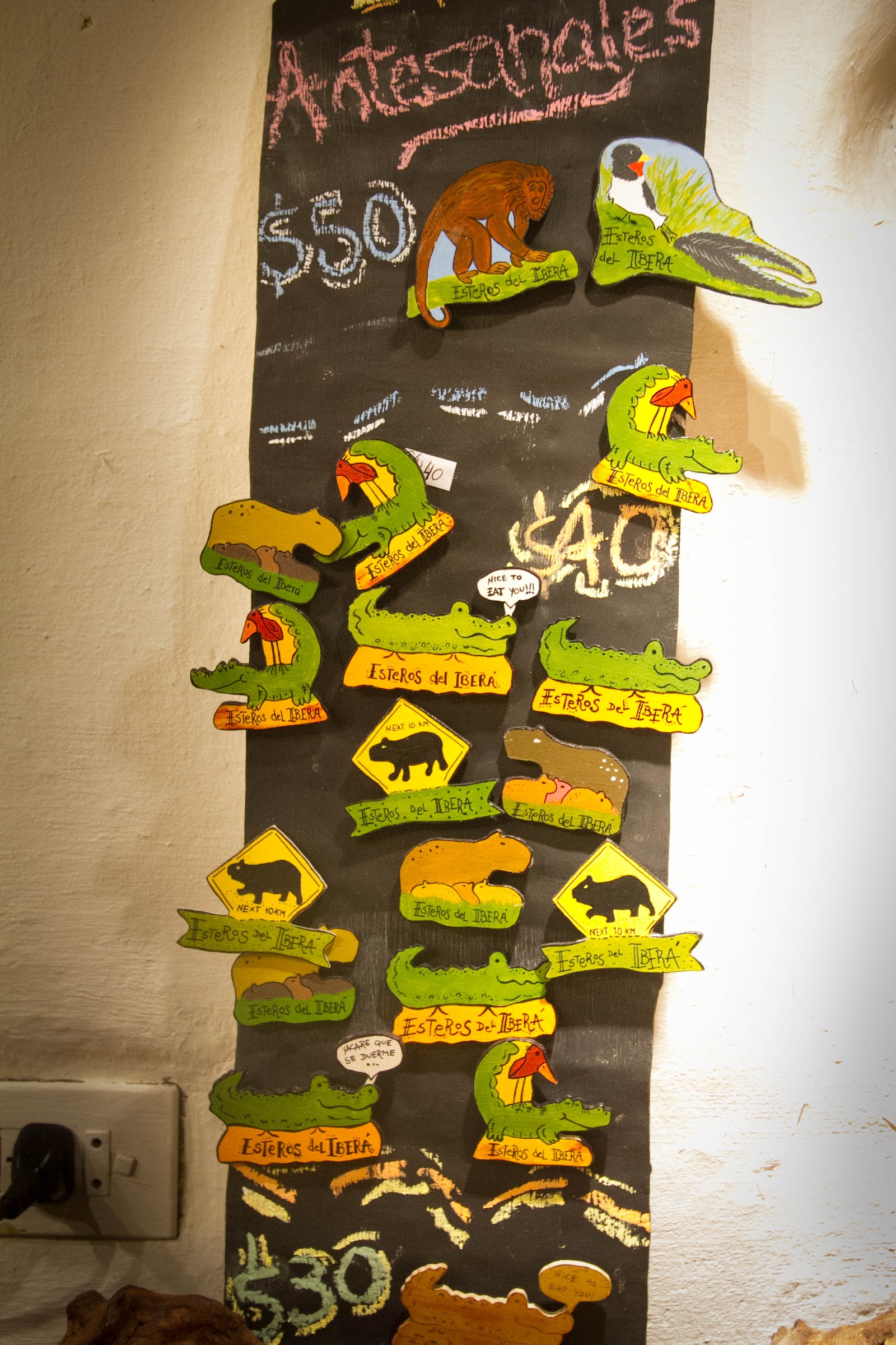 Hand-painted Iberá magnets