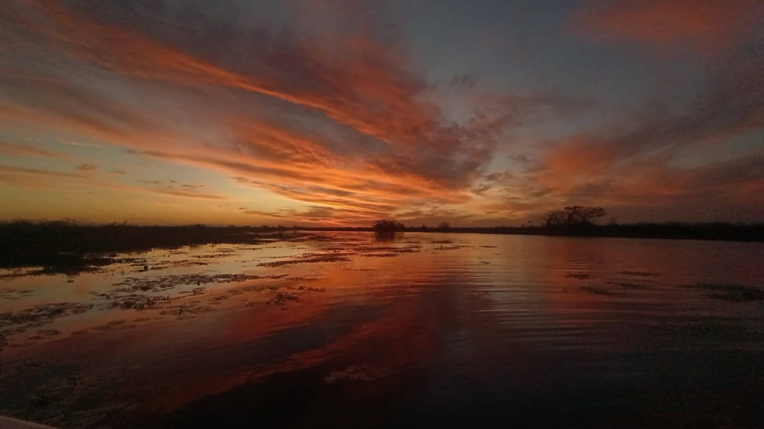 Excursión guiada por la laguna Iberá