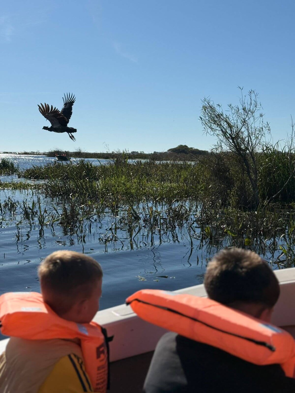Avistaje de fauna salvaje