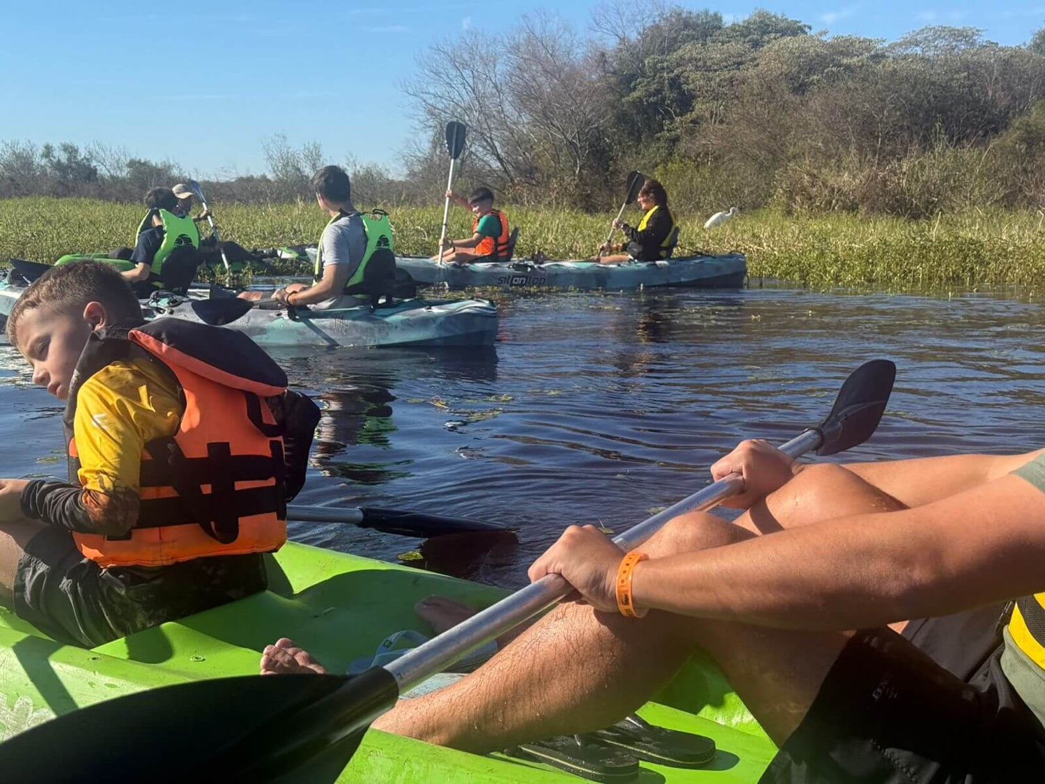 Kayak en la Laguna Iberá
