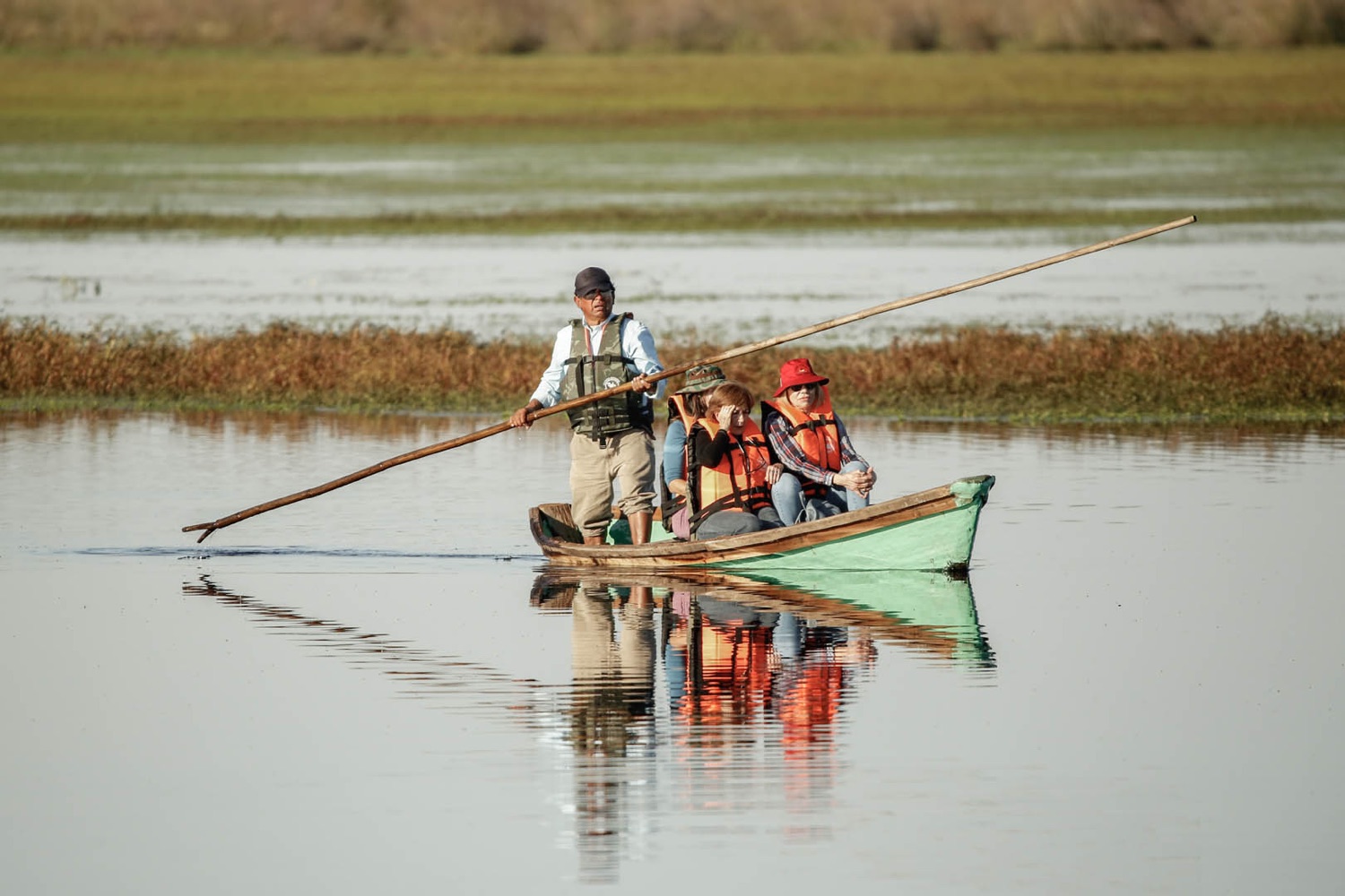 Fauna silvestre observada desde la canoa en San Nicolás