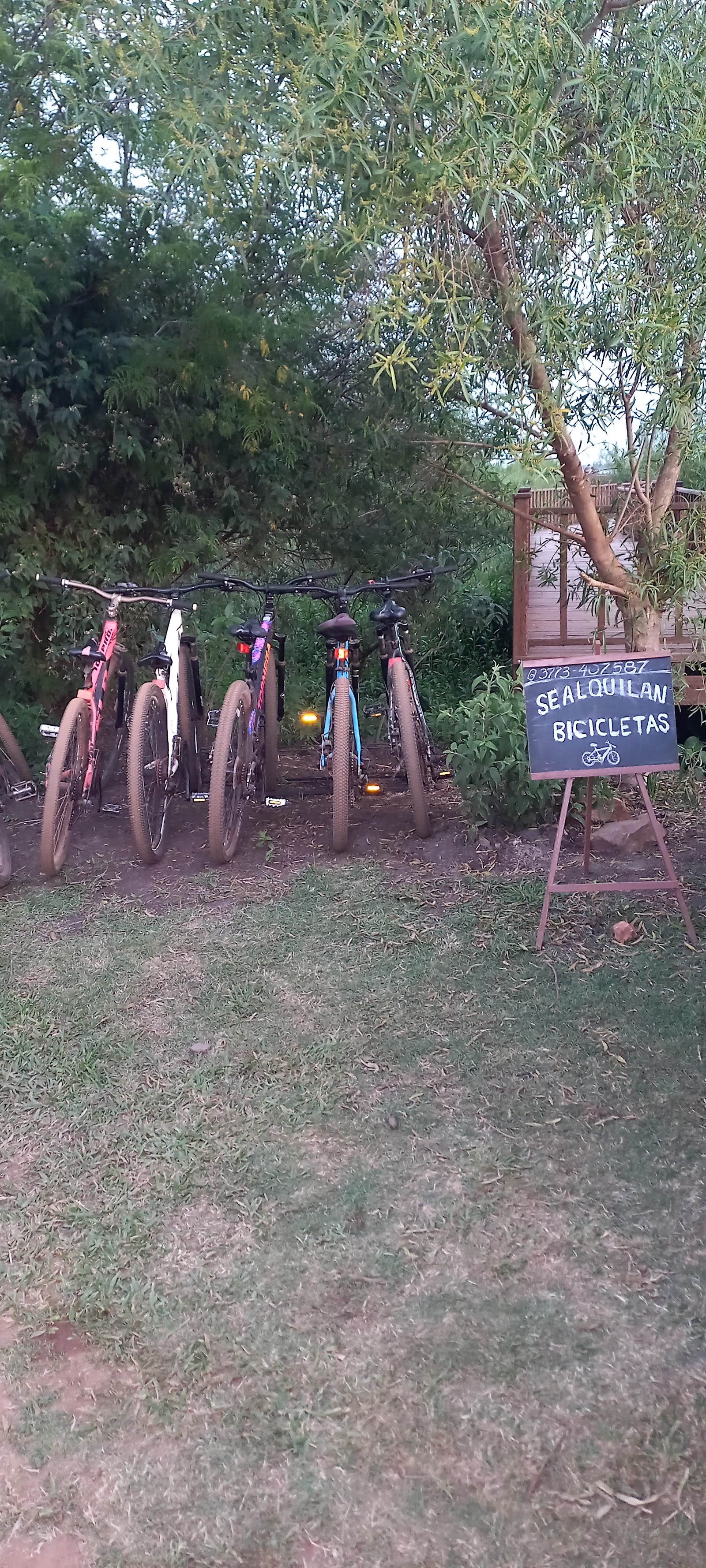 Bikes ready to rent