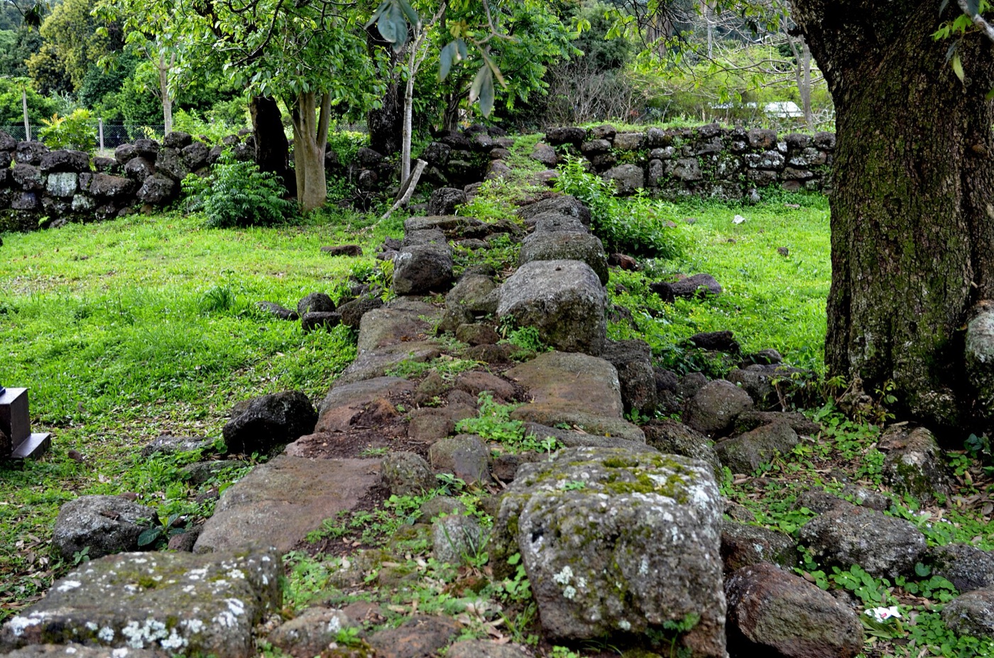Ruinas Jesuíticas de San Carlos